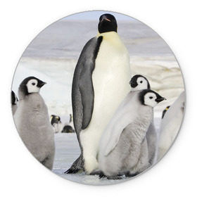 Коврик круглый с принтом Пингвин и пингвинята в Курске, резина и полиэстер | круглая форма, изображение наносится на всю лицевую часть | айсберг | антарктида | антарктика | арктика | буревестник | глупый | императорский | клюв | королевский | крылья | ласты | лёд | линукс | океан | пилигрим | полюс | птица | север | снег | умка | фрак