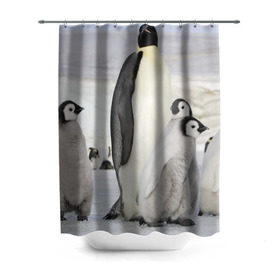 Штора 3D для ванной с принтом Пингвин и пингвинята в Курске, 100% полиэстер | плотность материала — 100 г/м2. Стандартный размер — 146 см х 180 см. По верхнему краю — пластиковые люверсы для креплений. В комплекте 10 пластиковых колец | айсберг | антарктида | антарктика | арктика | буревестник | глупый | императорский | клюв | королевский | крылья | ласты | лёд | линукс | океан | пилигрим | полюс | птица | север | снег | умка | фрак