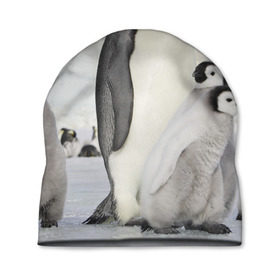 Шапка 3D с принтом Пингвин и пингвинята в Курске, 100% полиэстер | универсальный размер, печать по всей поверхности изделия | айсберг | антарктида | антарктика | арктика | буревестник | глупый | императорский | клюв | королевский | крылья | ласты | лёд | линукс | океан | пилигрим | полюс | птица | север | снег | умка | фрак