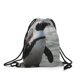 Рюкзак-мешок 3D с принтом Пингвин в Курске, 100% полиэстер | плотность ткани — 200 г/м2, размер — 35 х 45 см; лямки — толстые шнурки, застежка на шнуровке, без карманов и подкладки | 