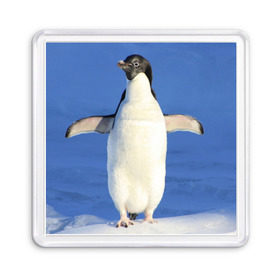 Магнит 55*55 с принтом Пингвин в Курске, Пластик | Размер: 65*65 мм; Размер печати: 55*55 мм | айсберг | антарктида | антарктика | арктика | буревестник | глупый | императорский | клюв | королевский | крылья | ласты | лёд | линукс | океан | пилигрим | полюс | птица | север | снег | умка | фрак
