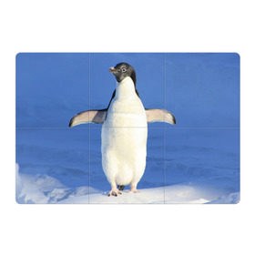 Магнитный плакат 3Х2 с принтом Пингвин в Курске, Полимерный материал с магнитным слоем | 6 деталей размером 9*9 см | айсберг | антарктида | антарктика | арктика | буревестник | глупый | императорский | клюв | королевский | крылья | ласты | лёд | линукс | океан | пилигрим | полюс | птица | север | снег | умка | фрак