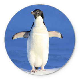 Коврик круглый с принтом Пингвин в Курске, резина и полиэстер | круглая форма, изображение наносится на всю лицевую часть | айсберг | антарктида | антарктика | арктика | буревестник | глупый | императорский | клюв | королевский | крылья | ласты | лёд | линукс | океан | пилигрим | полюс | птица | север | снег | умка | фрак