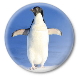 Значок с принтом Пингвин в Курске,  металл | круглая форма, металлическая застежка в виде булавки | айсберг | антарктида | антарктика | арктика | буревестник | глупый | императорский | клюв | королевский | крылья | ласты | лёд | линукс | океан | пилигрим | полюс | птица | север | снег | умка | фрак