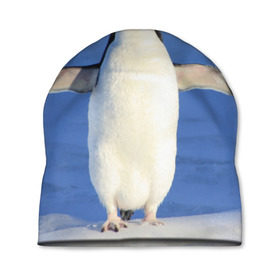 Шапка 3D с принтом Пингвин в Курске, 100% полиэстер | универсальный размер, печать по всей поверхности изделия | айсберг | антарктида | антарктика | арктика | буревестник | глупый | императорский | клюв | королевский | крылья | ласты | лёд | линукс | океан | пилигрим | полюс | птица | север | снег | умка | фрак