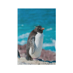 Обложка для паспорта матовая кожа с принтом Пингвин в Курске, натуральная матовая кожа | размер 19,3 х 13,7 см; прозрачные пластиковые крепления | айсберг | антарктида | антарктика | арктика | буревестник | глупый | императорский | клюв | королевский | крылья | ласты | лёд | линукс | океан | пилигрим | полюс | птица | север | снег | умка | фрак