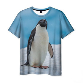 Мужская футболка 3D с принтом Пингвин на айсберге в Курске, 100% полиэфир | прямой крой, круглый вырез горловины, длина до линии бедер | айсберг | антарктида | антарктика | арктика | буревестник | глупый | императорский | клюв | королевский | крылья | ласты | лёд | линукс | океан | пилигрим | полюс | птица | север | снег | умка | фрак