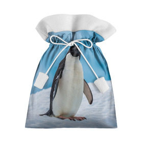 Подарочный 3D мешок с принтом Пингвин на айсберге в Курске, 100% полиэстер | Размер: 29*39 см | айсберг | антарктида | антарктика | арктика | буревестник | глупый | императорский | клюв | королевский | крылья | ласты | лёд | линукс | океан | пилигрим | полюс | птица | север | снег | умка | фрак