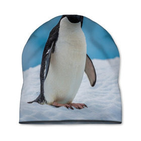 Шапка 3D с принтом Пингвин на айсберге в Курске, 100% полиэстер | универсальный размер, печать по всей поверхности изделия | айсберг | антарктида | антарктика | арктика | буревестник | глупый | императорский | клюв | королевский | крылья | ласты | лёд | линукс | океан | пилигрим | полюс | птица | север | снег | умка | фрак