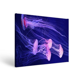 Холст прямоугольный с принтом Розовые медузы в Курске, 100% ПВХ |  | Тематика изображения на принте: аквариум | вода | дайвинг | милые | море | океан | плывет | подводный мир | рыбалка | рыбка | рыбы | стая | фауна