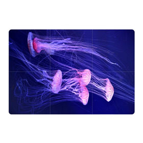 Магнитный плакат 3Х2 с принтом Розовые медузы в Курске, Полимерный материал с магнитным слоем | 6 деталей размером 9*9 см | Тематика изображения на принте: аквариум | вода | дайвинг | милые | море | океан | плывет | подводный мир | рыбалка | рыбка | рыбы | стая | фауна