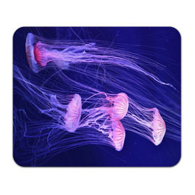 Коврик прямоугольный с принтом Розовые медузы в Курске, натуральный каучук | размер 230 х 185 мм; запечатка лицевой стороны | аквариум | вода | дайвинг | милые | море | океан | плывет | подводный мир | рыбалка | рыбка | рыбы | стая | фауна