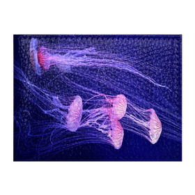 Обложка для студенческого билета с принтом Розовые медузы в Курске, натуральная кожа | Размер: 11*8 см; Печать на всей внешней стороне | Тематика изображения на принте: аквариум | вода | дайвинг | милые | море | океан | плывет | подводный мир | рыбалка | рыбка | рыбы | стая | фауна