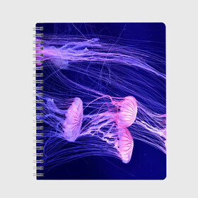 Тетрадь с принтом Розовые медузы в Курске, 100% бумага | 48 листов, плотность листов — 60 г/м2, плотность картонной обложки — 250 г/м2. Листы скреплены сбоку удобной пружинной спиралью. Уголки страниц и обложки скругленные. Цвет линий — светло-серый
 | аквариум | вода | дайвинг | милые | море | океан | плывет | подводный мир | рыбалка | рыбка | рыбы | стая | фауна