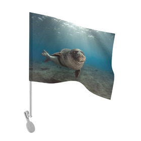 Флаг для автомобиля с принтом Тюлень под водой в Курске, 100% полиэстер | Размер: 30*21 см | вода | дайвинг | жирный | косяк | красивые | милые | море | морская | морской котик | океан | плывет | подводный мир | прикольные | речная | рыба | рыбалка | стая | тюлень | усатый кот | фауна | чешуя