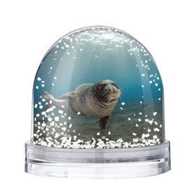 Снежный шар с принтом Тюлень под водой в Курске, Пластик | Изображение внутри шара печатается на глянцевой фотобумаге с двух сторон | вода | дайвинг | жирный | косяк | красивые | милые | море | морская | морской котик | океан | плывет | подводный мир | прикольные | речная | рыба | рыбалка | стая | тюлень | усатый кот | фауна | чешуя