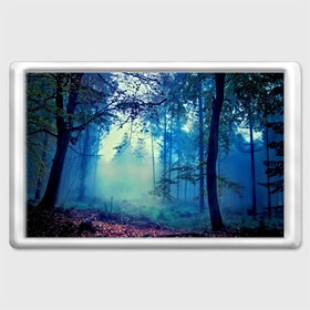 Магнит 45*70 с принтом Лес в Курске, Пластик | Размер: 78*52 мм; Размер печати: 70*45 | 3d | деревья | лес | пейзаж | природа | роща | туман