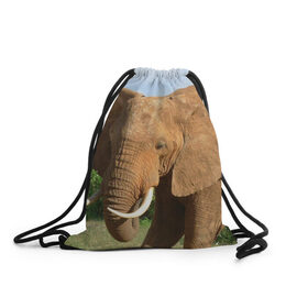 Рюкзак-мешок 3D с принтом Слон в Курске, 100% полиэстер | плотность ткани — 200 г/м2, размер — 35 х 45 см; лямки — толстые шнурки, застежка на шнуровке, без карманов и подкладки | 