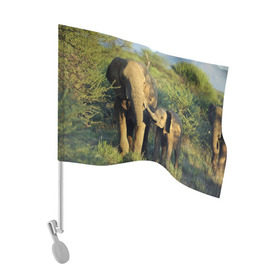 Флаг для автомобиля с принтом Слониха и слоненок в природе в Курске, 100% полиэстер | Размер: 30*21 см | африка | африканский | бивни | большой | гигант джунгли | зоопарк | индийский | индия | лесной великан | мамонт | огромный | саванна | сафари | серый | слон | слоненок | слониха | стадо | уши | хобот