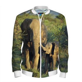 Мужской бомбер 3D с принтом Слониха и слоненок в природе в Курске, 100% полиэстер | застегивается на молнию, по бокам два кармана без застежек, по низу бомбера и на воротнике - эластичная резинка | африка | африканский | бивни | большой | гигант джунгли | зоопарк | индийский | индия | лесной великан | мамонт | огромный | саванна | сафари | серый | слон | слоненок | слониха | стадо | уши | хобот