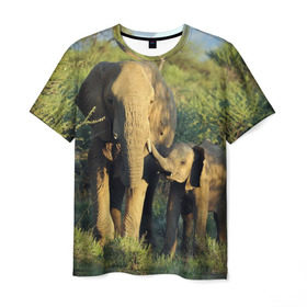 Мужская футболка 3D с принтом Слониха и слоненок в природе в Курске, 100% полиэфир | прямой крой, круглый вырез горловины, длина до линии бедер | Тематика изображения на принте: африка | африканский | бивни | большой | гигант джунгли | зоопарк | индийский | индия | лесной великан | мамонт | огромный | саванна | сафари | серый | слон | слоненок | слониха | стадо | уши | хобот