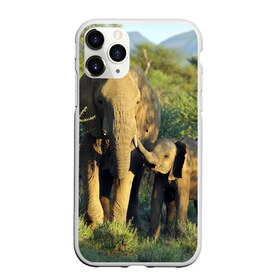 Чехол для iPhone 11 Pro матовый с принтом Слониха и слоненок в природе в Курске, Силикон |  | африка | африканский | бивни | большой | гигант джунгли | зоопарк | индийский | индия | лесной великан | мамонт | огромный | саванна | сафари | серый | слон | слоненок | слониха | стадо | уши | хобот