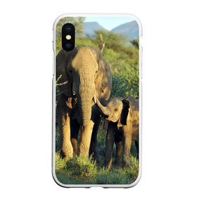 Чехол для iPhone XS Max матовый с принтом Слониха и слоненок в природе в Курске, Силикон | Область печати: задняя сторона чехла, без боковых панелей | африка | африканский | бивни | большой | гигант джунгли | зоопарк | индийский | индия | лесной великан | мамонт | огромный | саванна | сафари | серый | слон | слоненок | слониха | стадо | уши | хобот