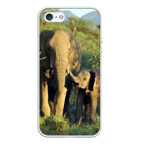 Чехол для iPhone 5/5S матовый с принтом Слониха и слоненок в природе в Курске, Силикон | Область печати: задняя сторона чехла, без боковых панелей | Тематика изображения на принте: африка | африканский | бивни | большой | гигант джунгли | зоопарк | индийский | индия | лесной великан | мамонт | огромный | саванна | сафари | серый | слон | слоненок | слониха | стадо | уши | хобот