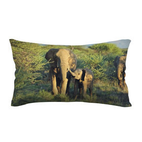 Подушка 3D антистресс с принтом Слониха и слоненок в природе в Курске, наволочка — 100% полиэстер, наполнитель — вспененный полистирол | состоит из подушки и наволочки на молнии | африка | африканский | бивни | большой | гигант джунгли | зоопарк | индийский | индия | лесной великан | мамонт | огромный | саванна | сафари | серый | слон | слоненок | слониха | стадо | уши | хобот