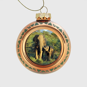 Стеклянный ёлочный шар с принтом Слониха и слоненок в природе в Курске, Стекло | Диаметр: 80 мм | Тематика изображения на принте: африка | африканский | бивни | большой | гигант джунгли | зоопарк | индийский | индия | лесной великан | мамонт | огромный | саванна | сафари | серый | слон | слоненок | слониха | стадо | уши | хобот