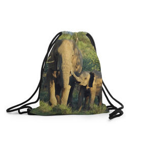Рюкзак-мешок 3D с принтом Слониха и слоненок в природе в Курске, 100% полиэстер | плотность ткани — 200 г/м2, размер — 35 х 45 см; лямки — толстые шнурки, застежка на шнуровке, без карманов и подкладки | африка | африканский | бивни | большой | гигант джунгли | зоопарк | индийский | индия | лесной великан | мамонт | огромный | саванна | сафари | серый | слон | слоненок | слониха | стадо | уши | хобот