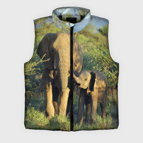 Мужской жилет утепленный 3D с принтом Слониха и слоненок в природе в Курске,  |  | Тематика изображения на принте: африка | африканский | бивни | большой | гигант джунгли | зоопарк | индийский | индия | лесной великан | мамонт | огромный | саванна | сафари | серый | слон | слоненок | слониха | стадо | уши | хобот
