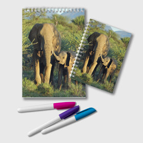 Блокнот с принтом Слониха и слоненок в природе в Курске, 100% бумага | 48 листов, плотность листов — 60 г/м2, плотность картонной обложки — 250 г/м2. Листы скреплены удобной пружинной спиралью. Цвет линий — светло-серый
 | Тематика изображения на принте: африка | африканский | бивни | большой | гигант джунгли | зоопарк | индийский | индия | лесной великан | мамонт | огромный | саванна | сафари | серый | слон | слоненок | слониха | стадо | уши | хобот