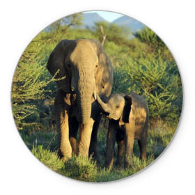 Коврик круглый с принтом Слониха и слоненок в природе в Курске, резина и полиэстер | круглая форма, изображение наносится на всю лицевую часть | африка | африканский | бивни | большой | гигант джунгли | зоопарк | индийский | индия | лесной великан | мамонт | огромный | саванна | сафари | серый | слон | слоненок | слониха | стадо | уши | хобот