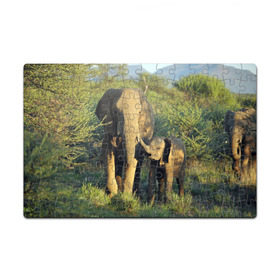 Пазл магнитный 126 элементов с принтом Слониха и слоненок в природе в Курске, полимерный материал с магнитным слоем | 126 деталей, размер изделия —  180*270 мм | африка | африканский | бивни | большой | гигант джунгли | зоопарк | индийский | индия | лесной великан | мамонт | огромный | саванна | сафари | серый | слон | слоненок | слониха | стадо | уши | хобот
