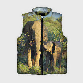 Женский жилет утепленный 3D с принтом Слониха и слоненок в природе в Курске,  |  | африка | африканский | бивни | большой | гигант джунгли | зоопарк | индийский | индия | лесной великан | мамонт | огромный | саванна | сафари | серый | слон | слоненок | слониха | стадо | уши | хобот
