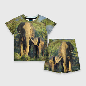 Детский костюм с шортами 3D с принтом Слониха и слоненок в природе в Курске,  |  | африка | африканский | бивни | большой | гигант джунгли | зоопарк | индийский | индия | лесной великан | мамонт | огромный | саванна | сафари | серый | слон | слоненок | слониха | стадо | уши | хобот