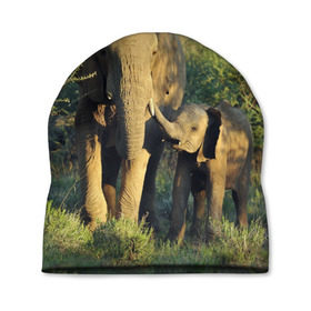 Шапка 3D с принтом Слониха и слоненок в природе в Курске, 100% полиэстер | универсальный размер, печать по всей поверхности изделия | Тематика изображения на принте: африка | африканский | бивни | большой | гигант джунгли | зоопарк | индийский | индия | лесной великан | мамонт | огромный | саванна | сафари | серый | слон | слоненок | слониха | стадо | уши | хобот