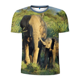 Мужская футболка 3D спортивная с принтом Слониха и слоненок в природе в Курске, 100% полиэстер с улучшенными характеристиками | приталенный силуэт, круглая горловина, широкие плечи, сужается к линии бедра | африка | африканский | бивни | большой | гигант джунгли | зоопарк | индийский | индия | лесной великан | мамонт | огромный | саванна | сафари | серый | слон | слоненок | слониха | стадо | уши | хобот