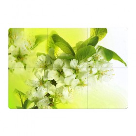 Магнитный плакат 3Х2 с принтом Цветы яблони в Курске, Полимерный материал с магнитным слоем | 6 деталей размером 9*9 см | белый | весна | дерево | зеленый | природа | растения | цветы | яблоня