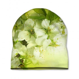 Шапка 3D с принтом Цветы яблони в Курске, 100% полиэстер | универсальный размер, печать по всей поверхности изделия | Тематика изображения на принте: белый | весна | дерево | зеленый | природа | растения | цветы | яблоня