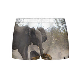 Мужские трусы 3D с принтом Гиены охотятся на слона в Курске, 50% хлопок, 50% полиэстер | классическая посадка, на поясе мягкая тканевая резинка | африка | африканский | бивни | большой | гигант джунгли | гиены | индийский | индия | лесной великан | мамонт | огромный | охота | саванна | сафари | серый | слон | слониха | стадо | уши | хобот
