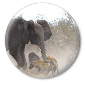 Значок с принтом Гиены охотятся на слона в Курске,  металл | круглая форма, металлическая застежка в виде булавки | африка | африканский | бивни | большой | гигант джунгли | гиены | индийский | индия | лесной великан | мамонт | огромный | охота | саванна | сафари | серый | слон | слониха | стадо | уши | хобот