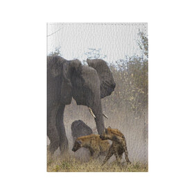Обложка для паспорта матовая кожа с принтом Гиены охотятся на слона в Курске, натуральная матовая кожа | размер 19,3 х 13,7 см; прозрачные пластиковые крепления | африка | африканский | бивни | большой | гигант джунгли | гиены | индийский | индия | лесной великан | мамонт | огромный | охота | саванна | сафари | серый | слон | слониха | стадо | уши | хобот