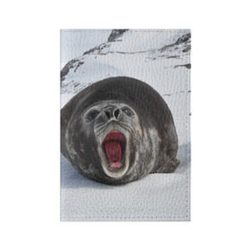 Обложка для паспорта матовая кожа с принтом Морской котик в Курске, натуральная матовая кожа | размер 19,3 х 13,7 см; прозрачные пластиковые крепления | антарктида | антарктика | большой | вода | гигант | жир | кот | котик | ледовитый | море | мороз | морской | нос | огромный | океан | пасть | север | серый | слониха | снег | тюлень | усы | холод | язык