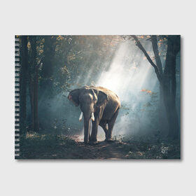 Альбом для рисования с принтом Слон в лесу в Курске, 100% бумага
 | матовая бумага, плотность 200 мг. | Тематика изображения на принте: африка | африканский | бивни | большой | гигант джунгли | зоопарк | индийский | индия | лесной великан | мамонт | огромный | саванна | сафари | серый | слон | слоненок | слониха | стадо | уши | хобот