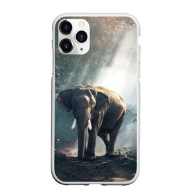 Чехол для iPhone 11 Pro матовый с принтом Слон в лесу в Курске, Силикон |  | африка | африканский | бивни | большой | гигант джунгли | зоопарк | индийский | индия | лесной великан | мамонт | огромный | саванна | сафари | серый | слон | слоненок | слониха | стадо | уши | хобот