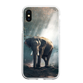 Чехол для iPhone XS Max матовый с принтом Слон в лесу в Курске, Силикон | Область печати: задняя сторона чехла, без боковых панелей | африка | африканский | бивни | большой | гигант джунгли | зоопарк | индийский | индия | лесной великан | мамонт | огромный | саванна | сафари | серый | слон | слоненок | слониха | стадо | уши | хобот