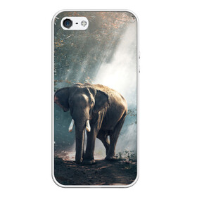 Чехол для iPhone 5/5S матовый с принтом Слон в лесу в Курске, Силикон | Область печати: задняя сторона чехла, без боковых панелей | Тематика изображения на принте: африка | африканский | бивни | большой | гигант джунгли | зоопарк | индийский | индия | лесной великан | мамонт | огромный | саванна | сафари | серый | слон | слоненок | слониха | стадо | уши | хобот