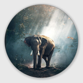 Коврик круглый с принтом Слон в лесу в Курске, резина и полиэстер | круглая форма, изображение наносится на всю лицевую часть | африка | африканский | бивни | большой | гигант джунгли | зоопарк | индийский | индия | лесной великан | мамонт | огромный | саванна | сафари | серый | слон | слоненок | слониха | стадо | уши | хобот